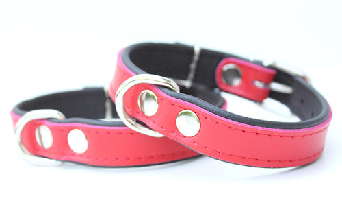 Hundehalsband Echtleder - 2cm breit - rot/schwarz
