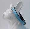 Hundehalsband Echtleder - 1,6cm breit - hellblau/schwarz