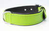 Hundehalsband Echtleder - Ohne - SOFT - grün/schwarz - 3cm