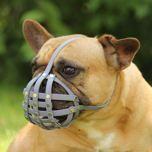 Muzzle FRENCH BULLDOG ca. 15-19kg Xtra - protection / (massiv head) middle snouth
